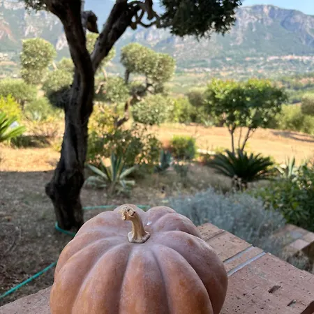 Casa Martina Panzió 3*