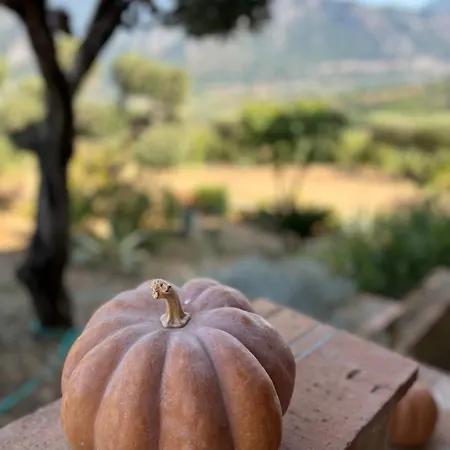 Panzió Casa Martina Giungano