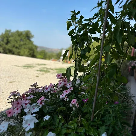 ベッド・アンド・ブレックファスト Casa Martina Giungano