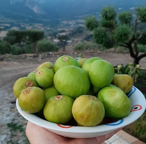 Casa Martina 3* Giungano