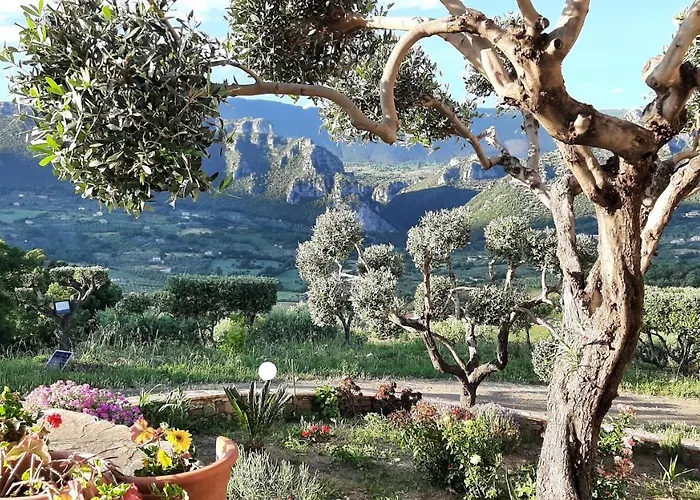 Alojamento de Acomodação e Pequeno-almoço Casa Martina