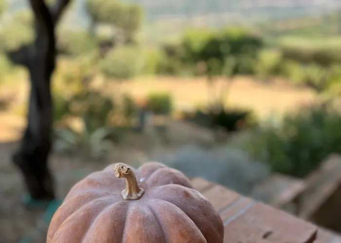 Alojamento de Acomodação e Pequeno-almoço Casa Martina Giungano